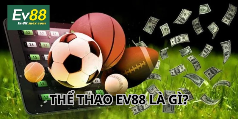 Thể Thao EV88 là sảnh cược được nhà cái đầu tư mạnh mẽ.